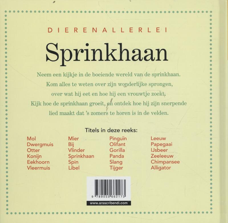 Achterkant van Sprinkhaan