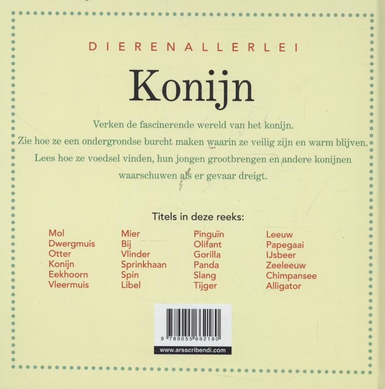 Achterkant van Konijn