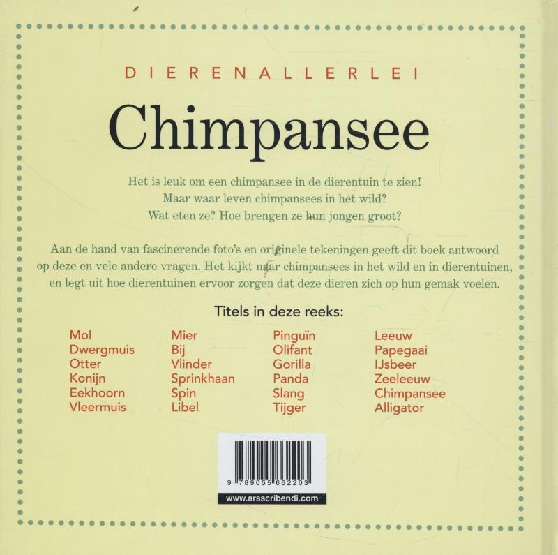 Achterkant van Chimpansee