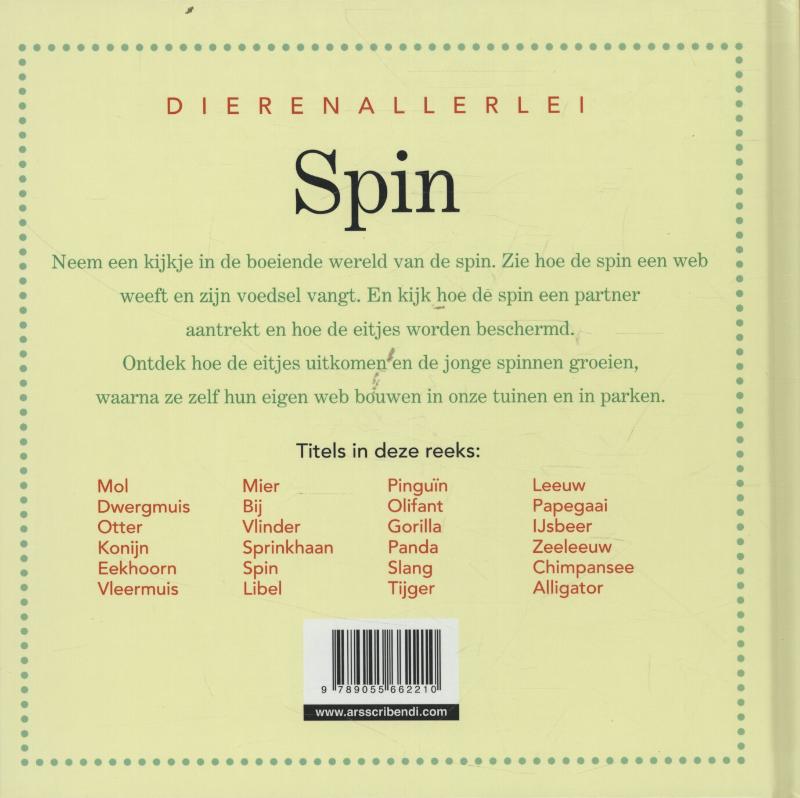 Achterkant van Spin