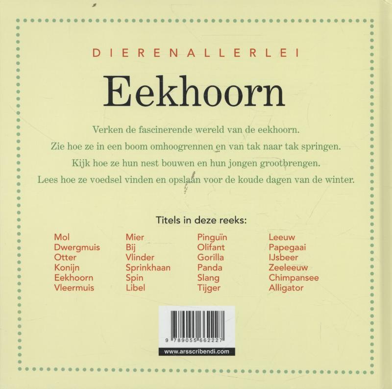 Achterkant van Eekhoorn