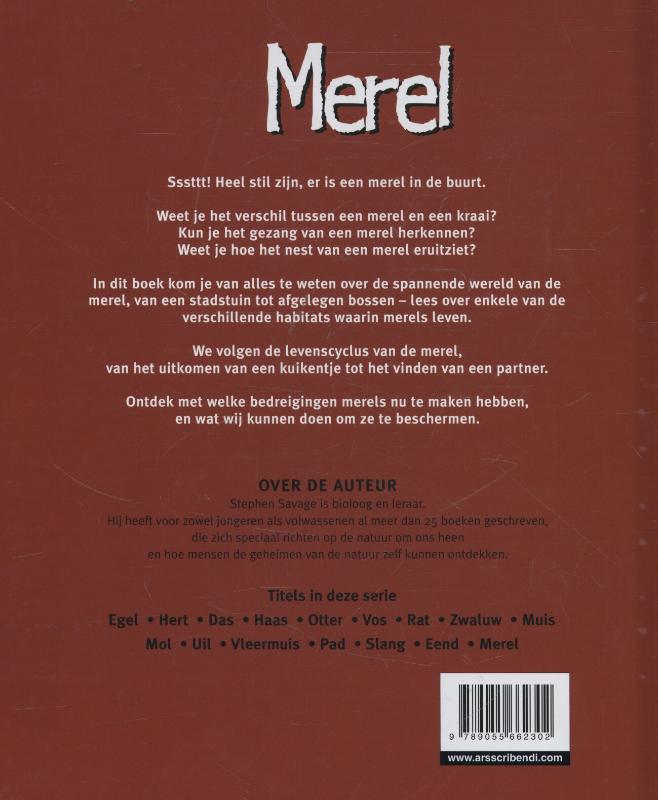 Achterkant van Merel