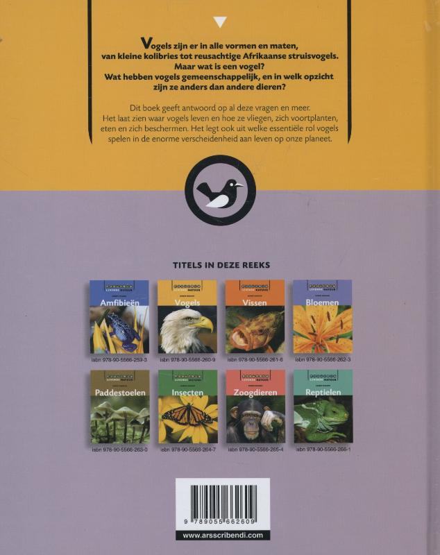 Achterkant van Vogels