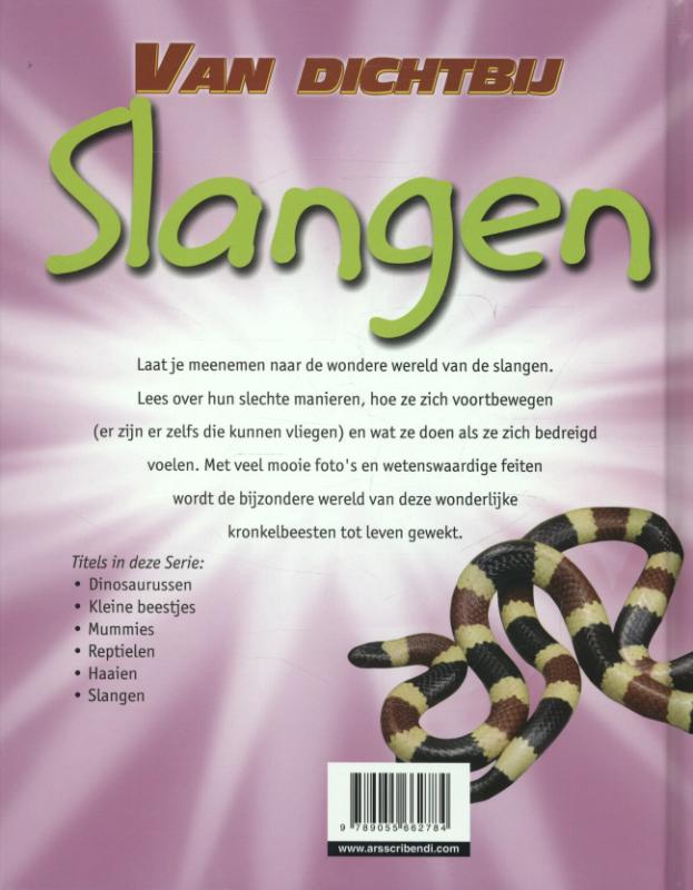 Achterkant van Slangen