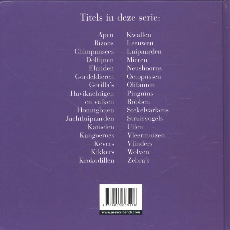Achterkant van Kangoeroes