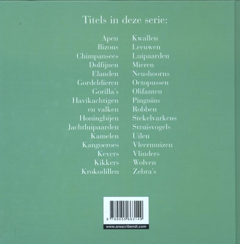 Achterkant van Zebra's