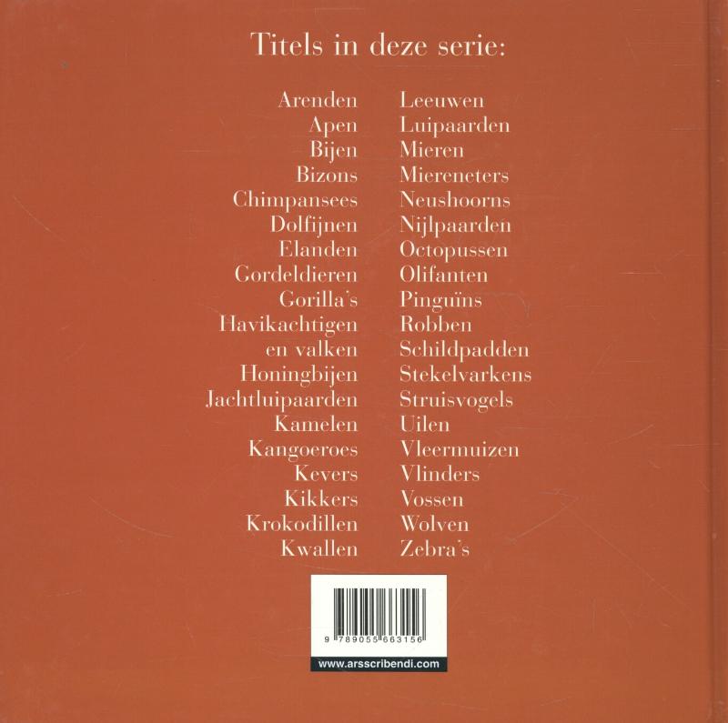 Achterkant van Miereneters