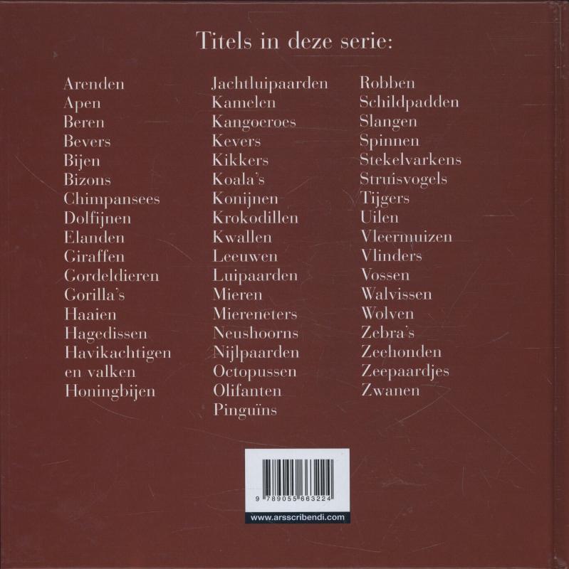 Achterkant van Koala's