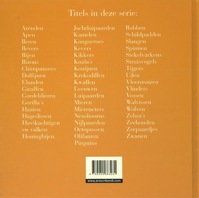 Achterkant van Otters