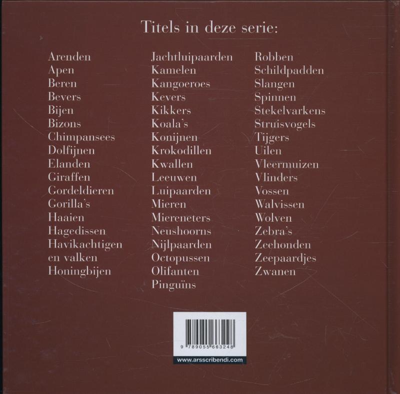 Achterkant van Konijnen