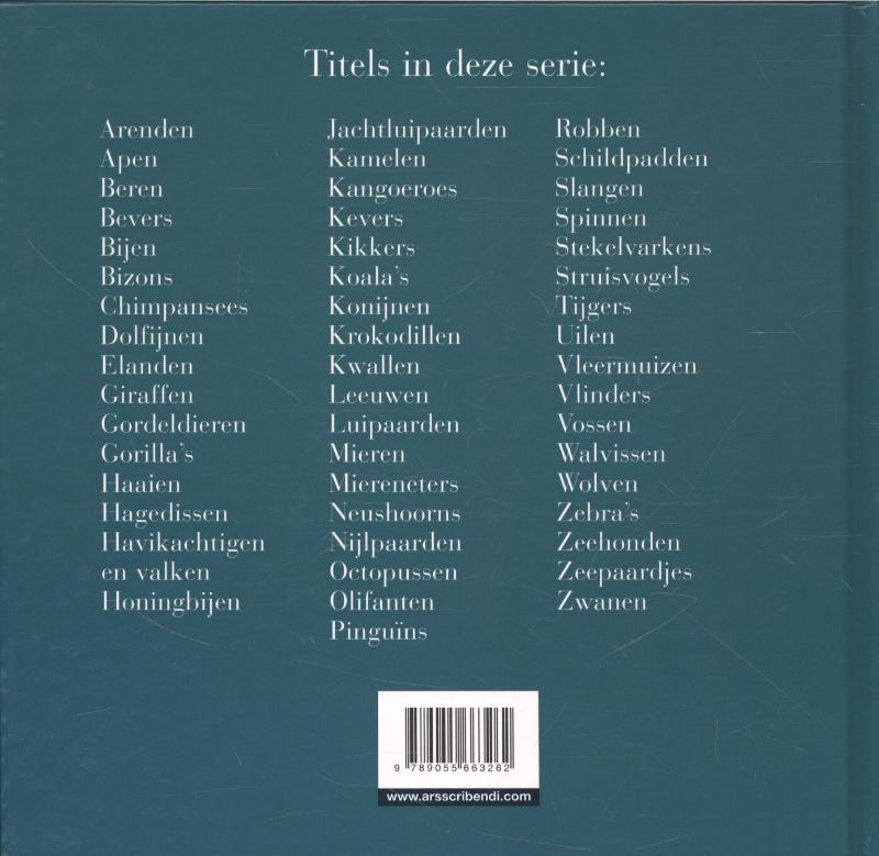 Achterkant van Zwanen