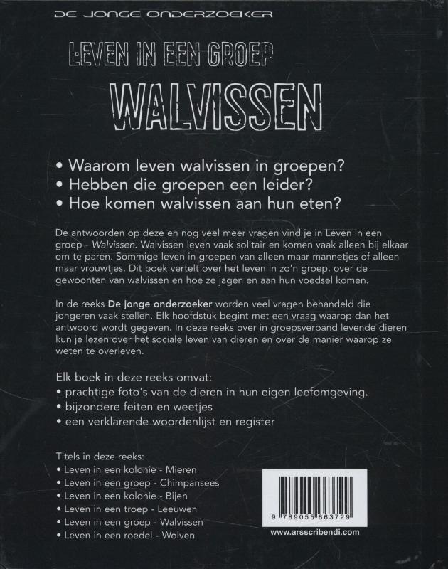 Achterkant van leven in een groep walvissen