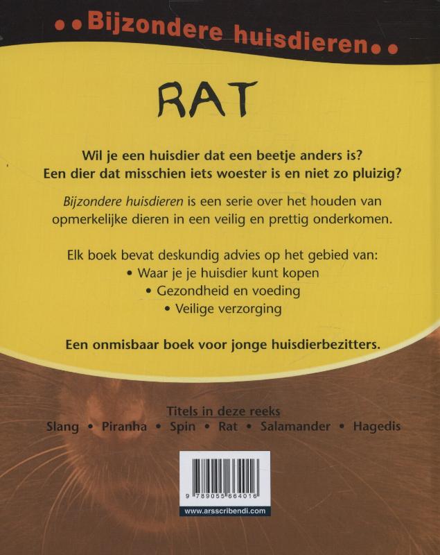 Achterkant van Rat