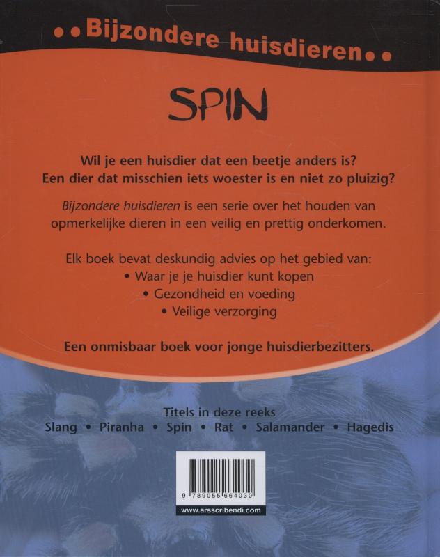 Achterkant van Spin