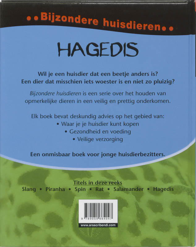 Achterkant van Hagedis
