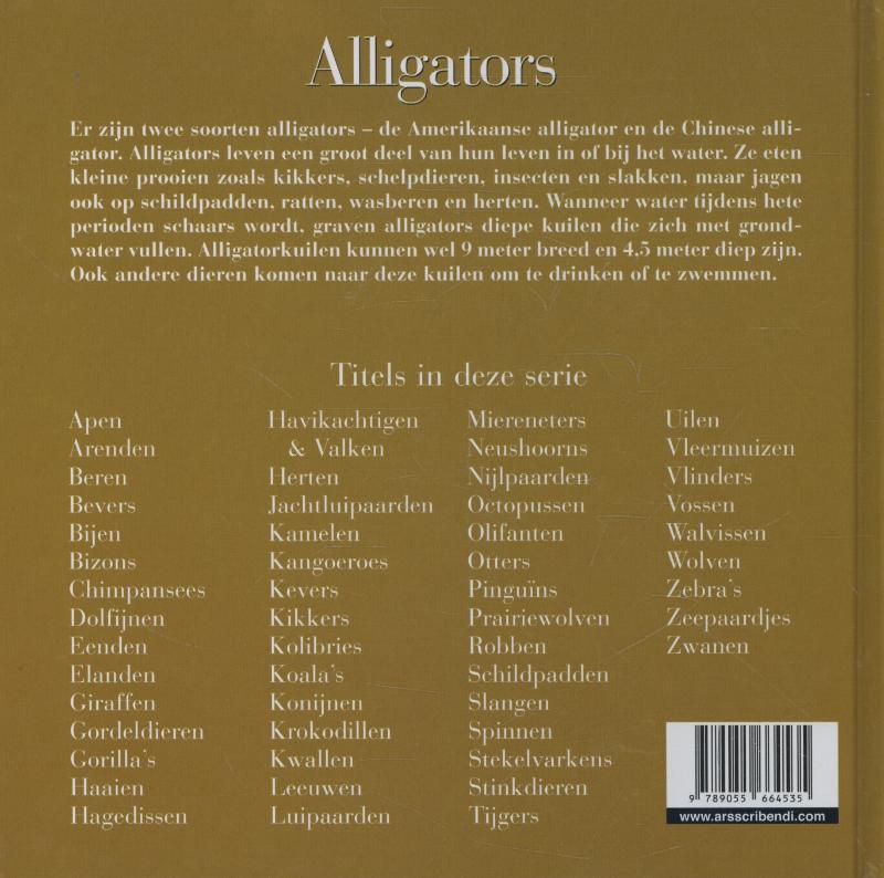 Achterkant van Alligators