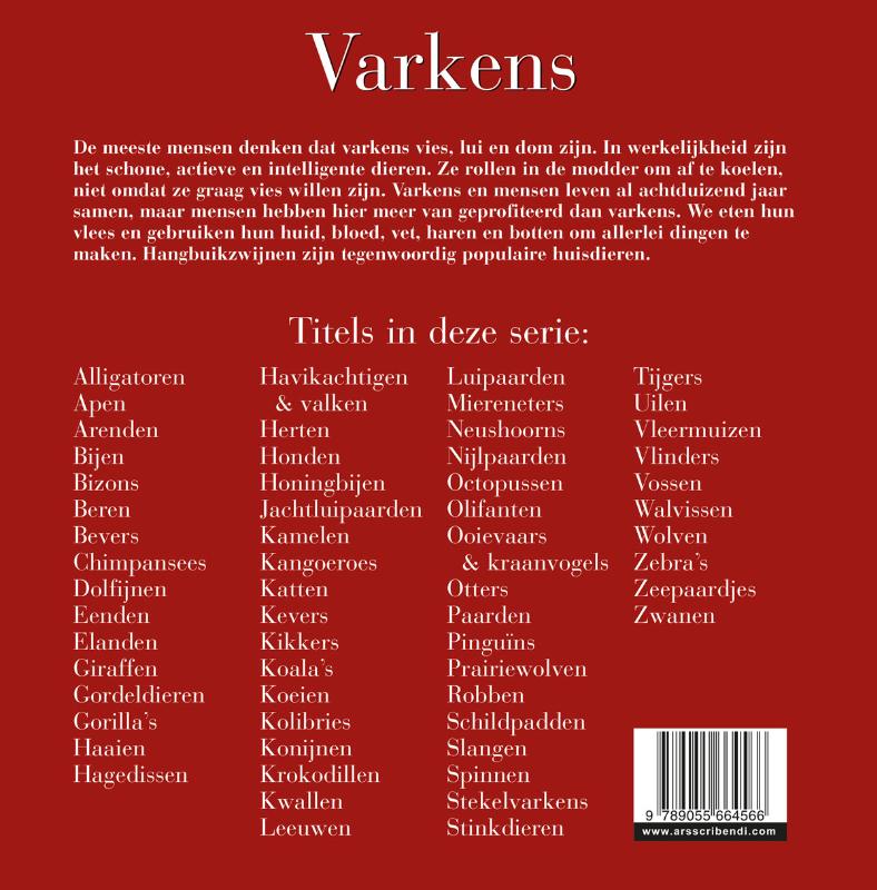 Achterkant van Varkens