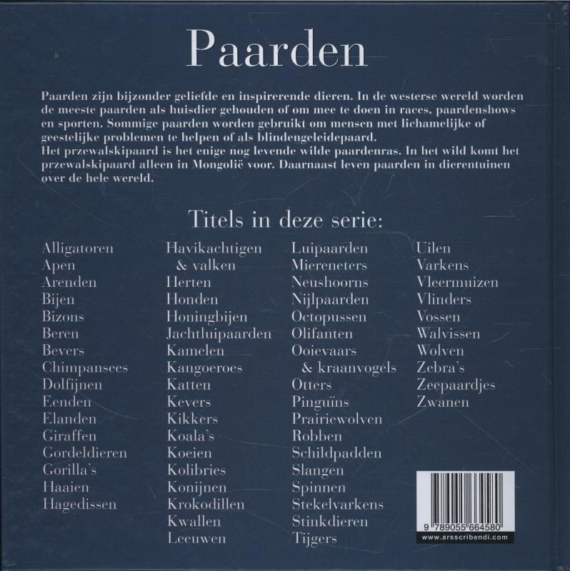 Achterkant van Paarden