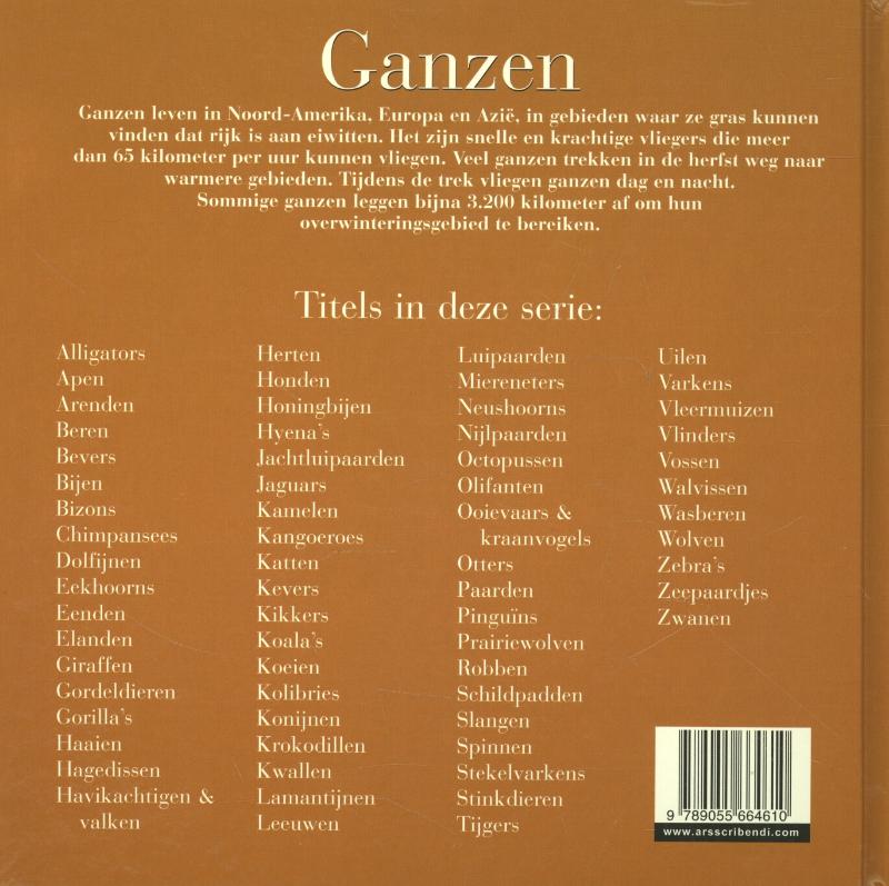 Achterkant van Ganzen