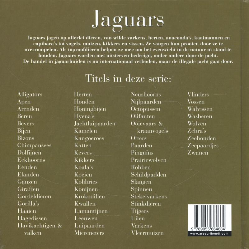 Achterkant van Jaguars