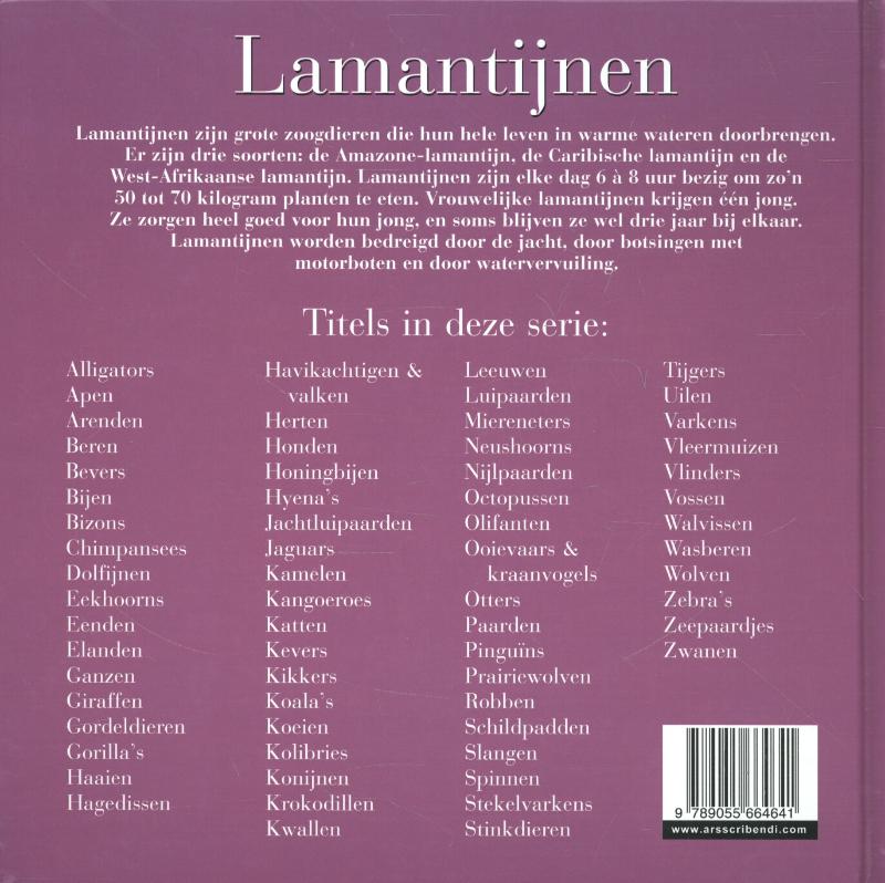 Achterkant van Lamantijnen