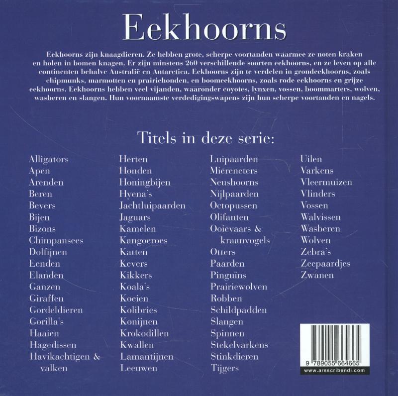 Achterkant van Eekhoorns