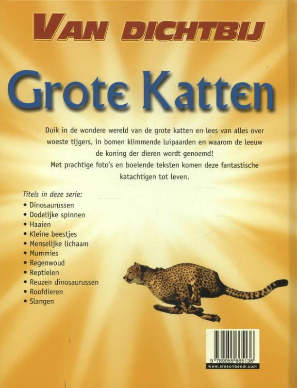 Achterkant van Grote katten