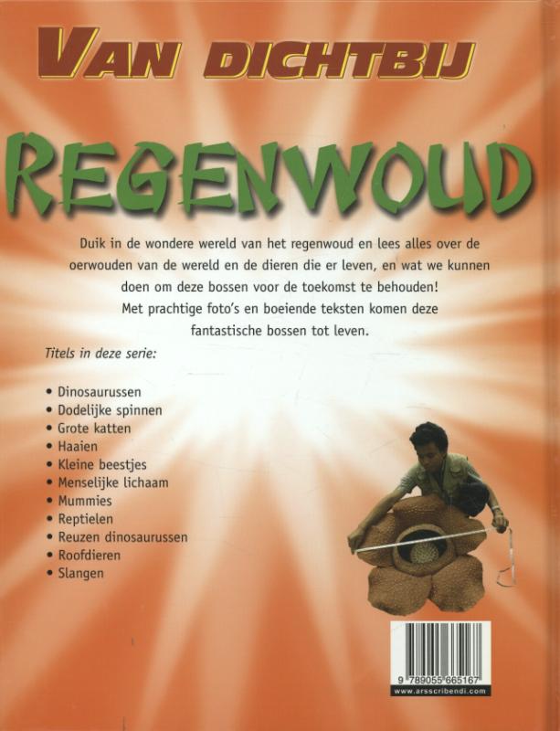 Achterkant van Regenwoud