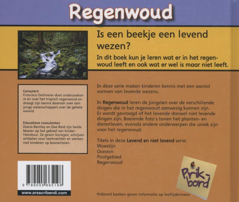 Achterkant van Regenwoud