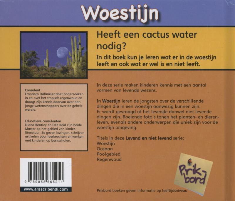 Achterkant van Woestijn