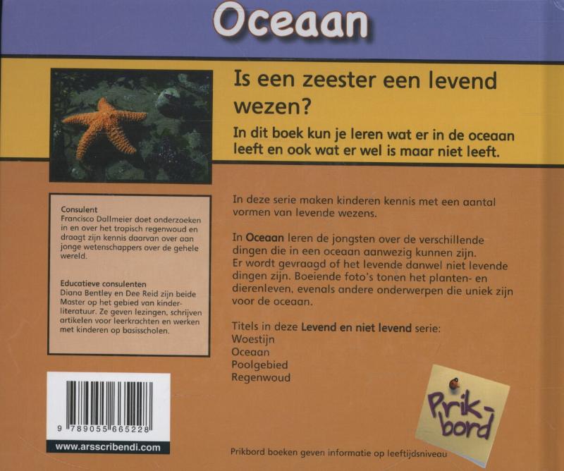 Achterkant van Oceaan