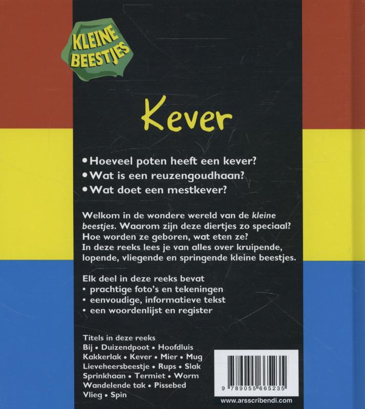 Achterkant van Kever