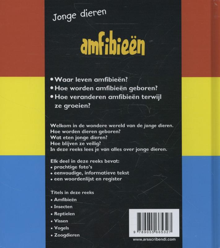 Achterkant van Amfibieen