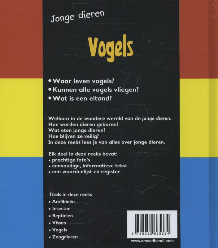 Achterkant van Vogels