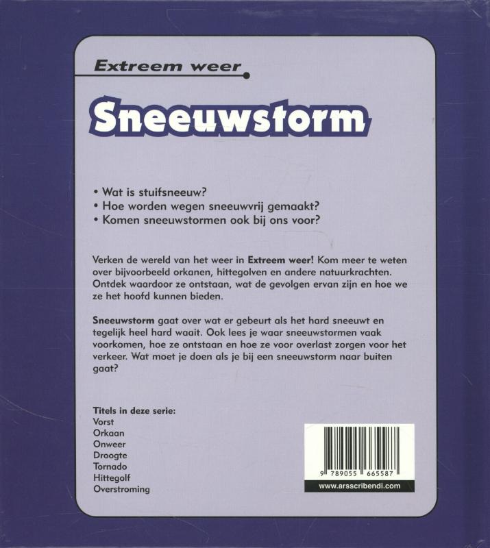 Achterkant van Sneeuwstorm