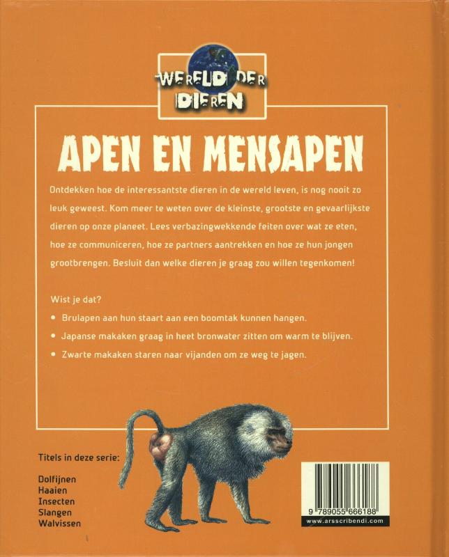 Achterkant van Apen en mensapen