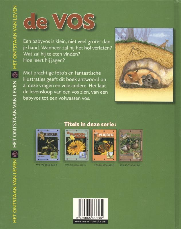 Achterkant van De vos