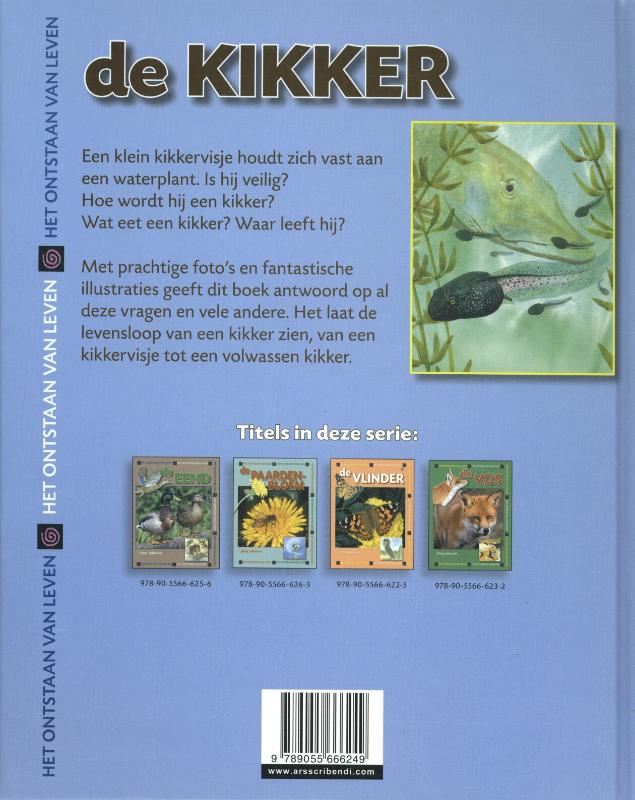 Achterkant van Kikker