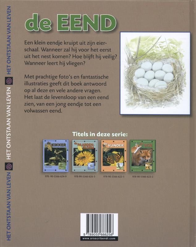 Achterkant van De eend