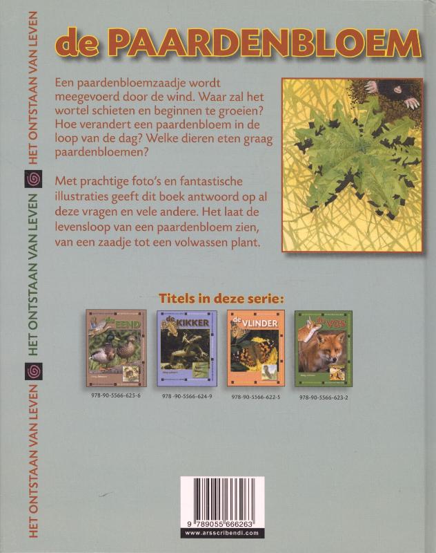 Achterkant van De paardenbloem