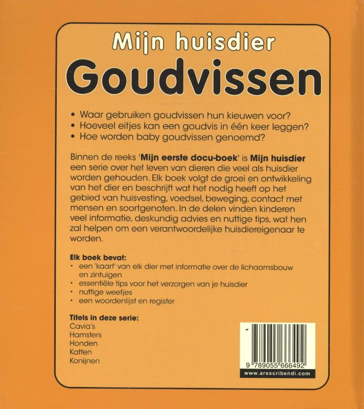 Achterkant van Goudvissen