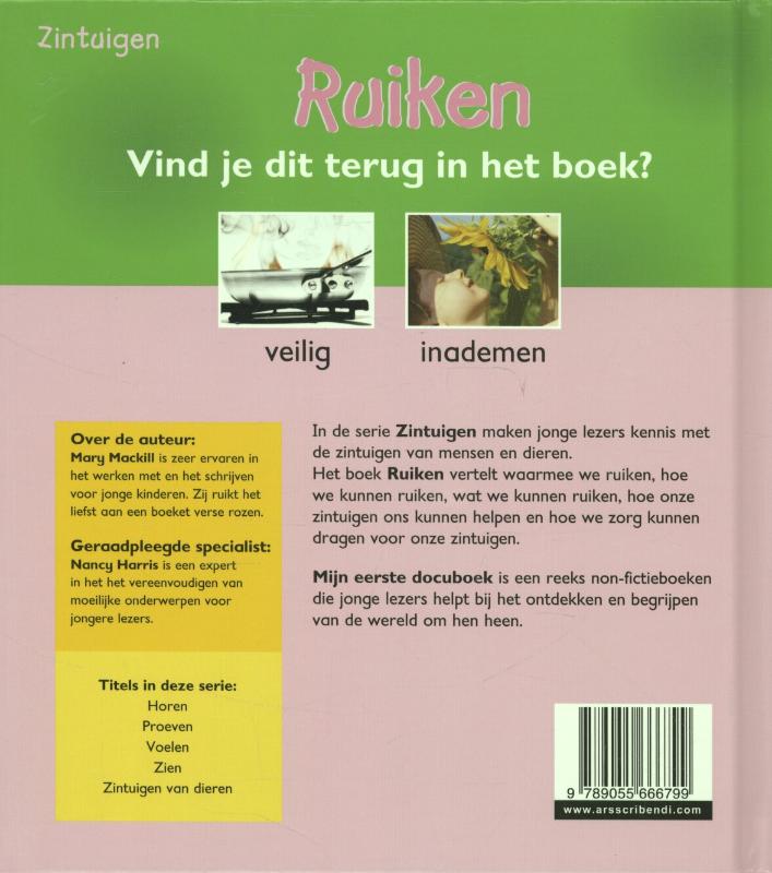 Achterkant van Ruiken