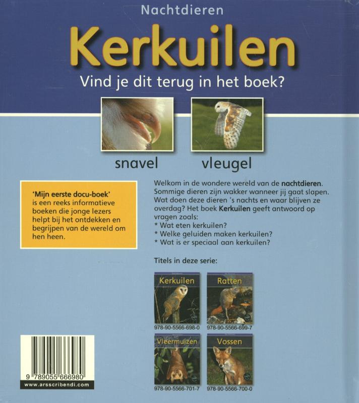 Achterkant van Kerkuilen