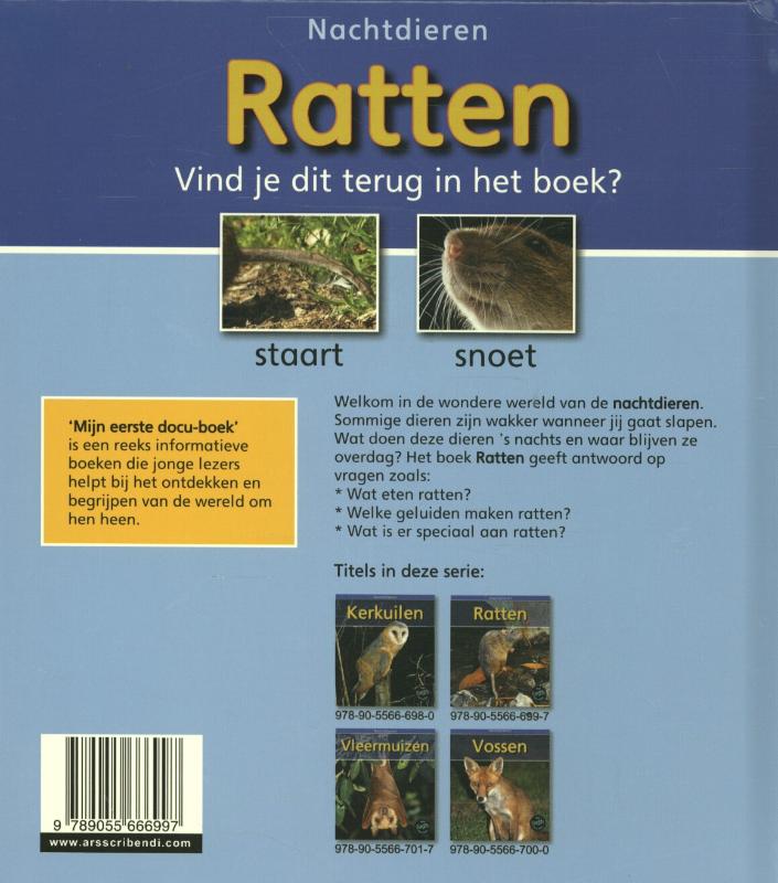 Achterkant van Ratten