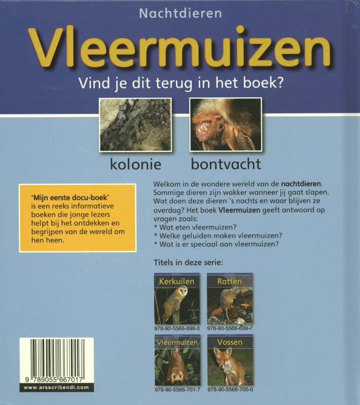 Achterkant van Vleermuizen