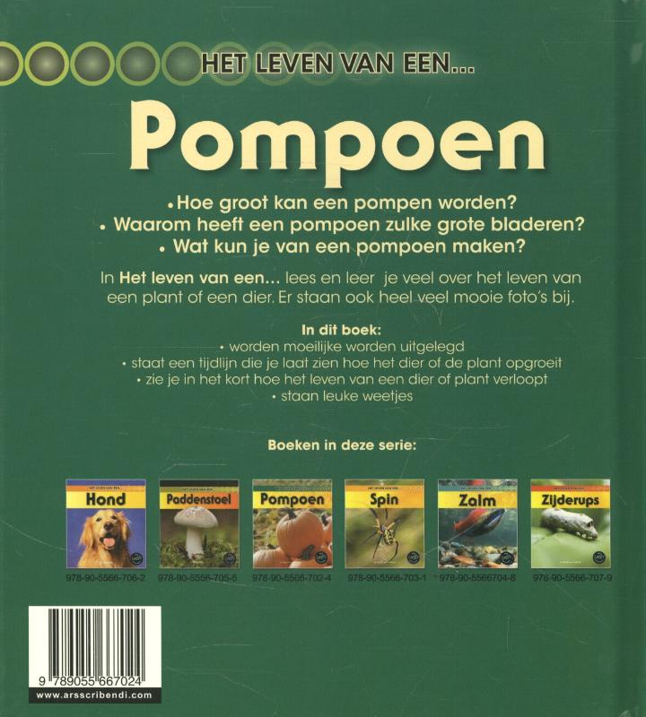 Achterkant van Pompoen