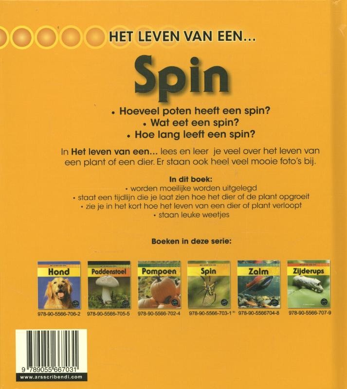 Achterkant van Spin