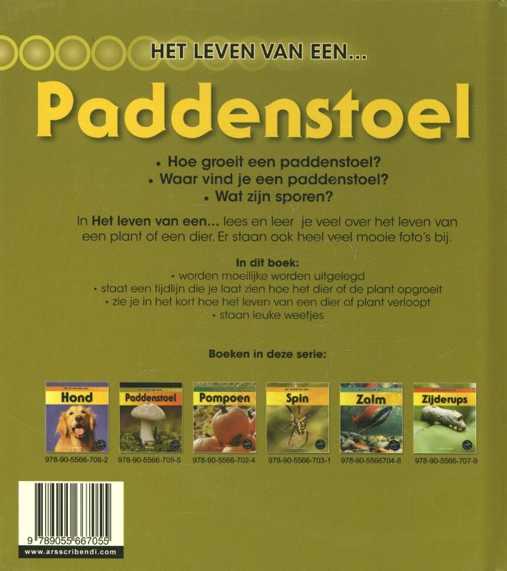 Achterkant van Paddenstoel