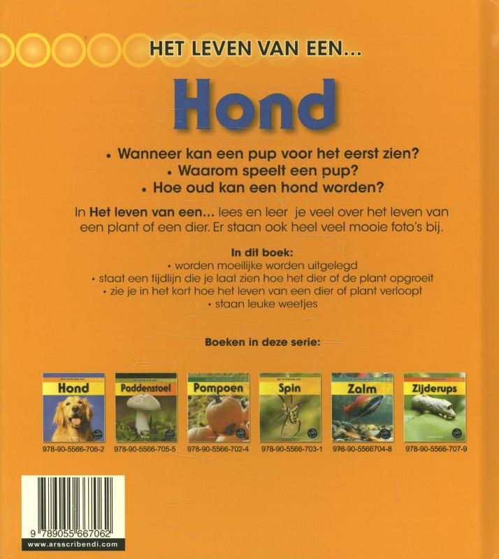 Achterkant van Hond
