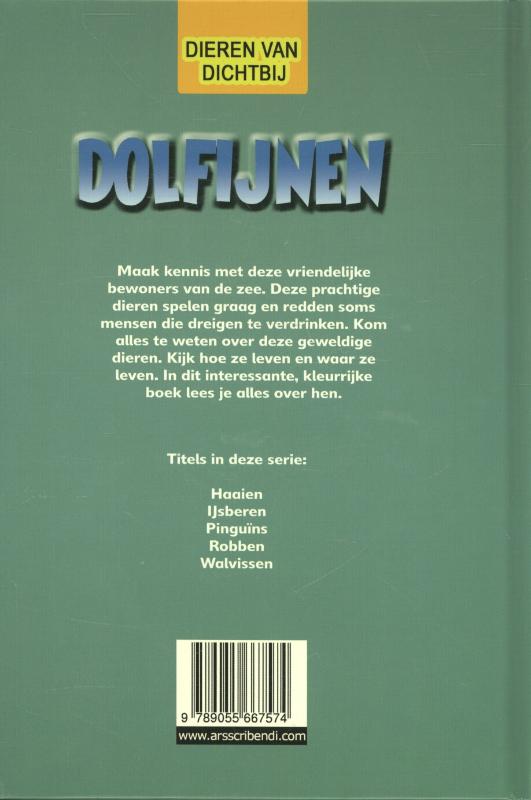 Achterkant van Dolfijnen